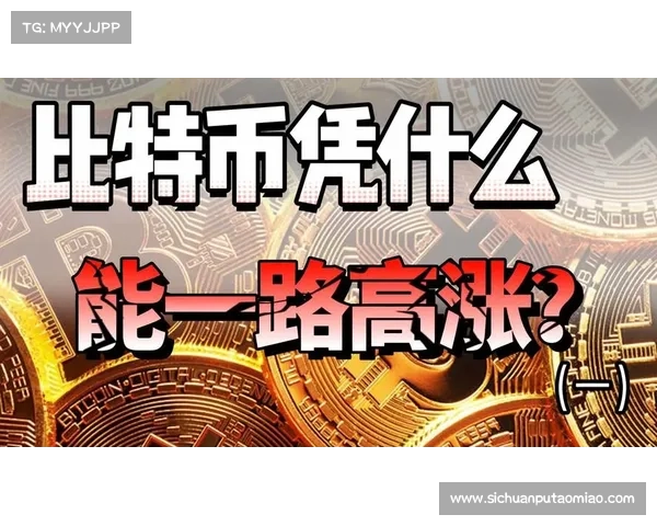 比特币连续三年上涨，然后在第四年暴跌